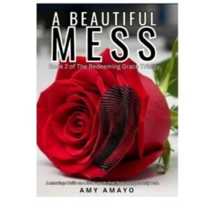 A Beautiful Mess by Amy Amayo